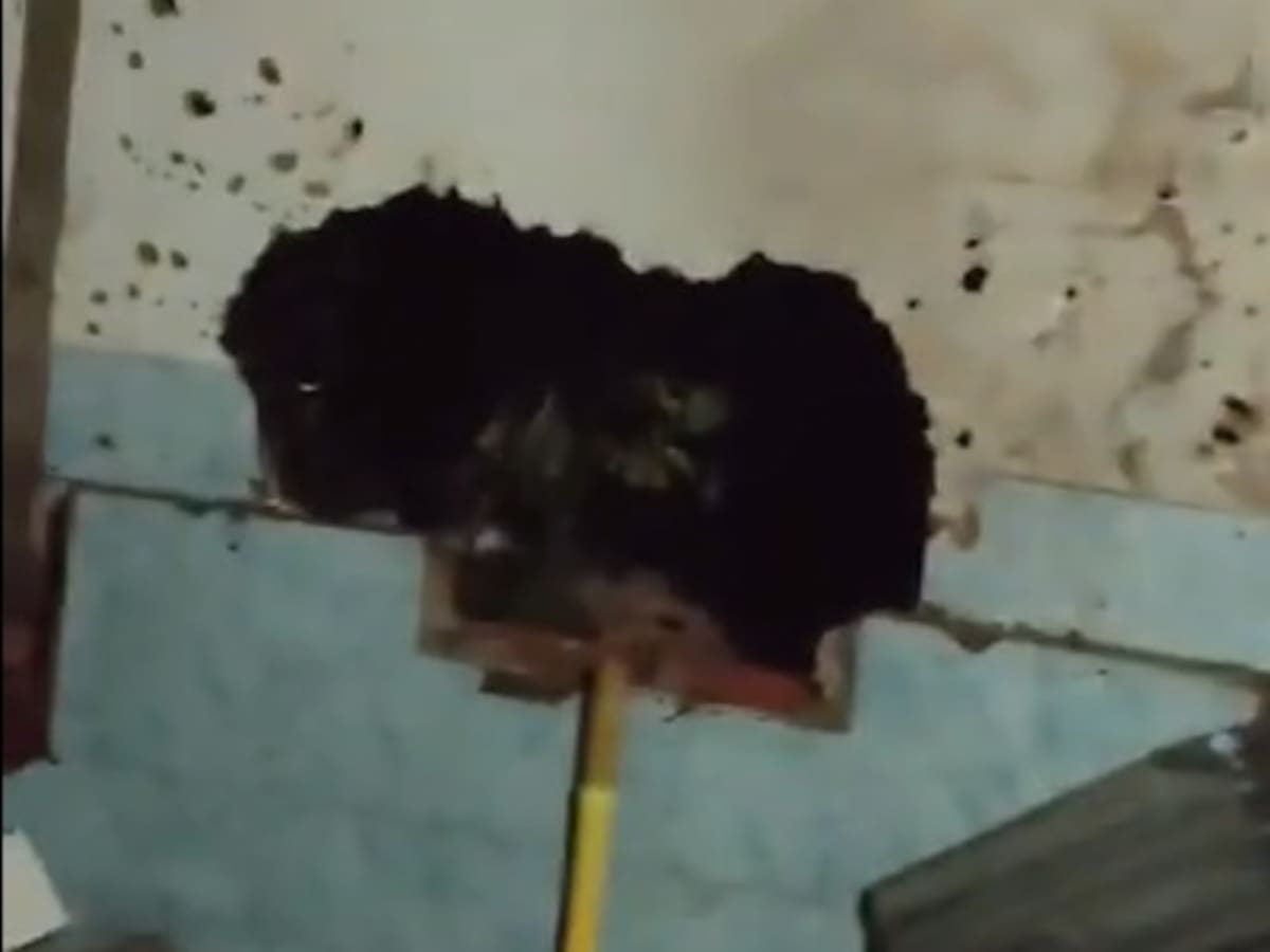 Ataque con drones explosivos sacude al municipio de Arenal en el sur de Bolívar