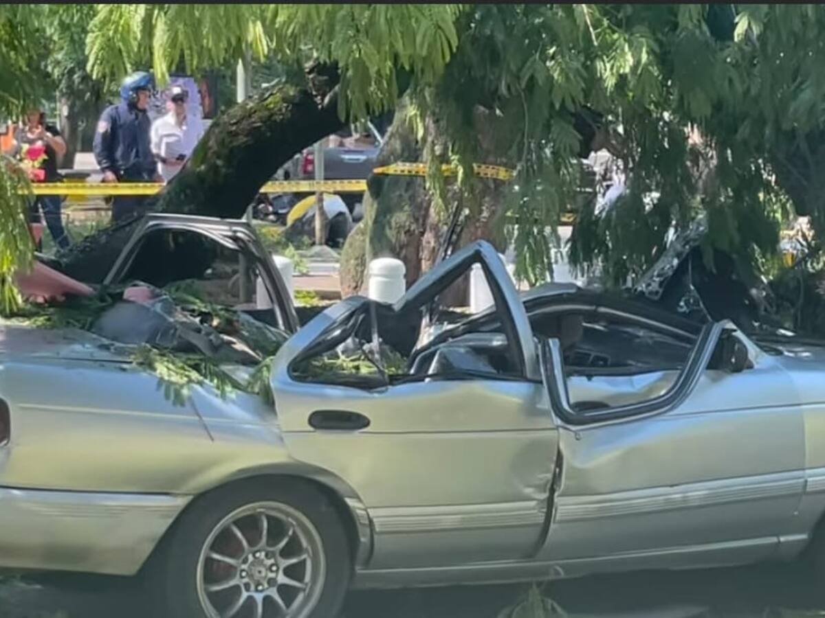 Árbol caído en la carrera quinta de Neiva deja un fallecido y varios lesionados