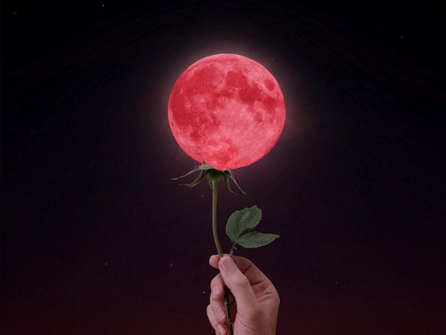 Foto Syaibatulhamdi/ Pixabay