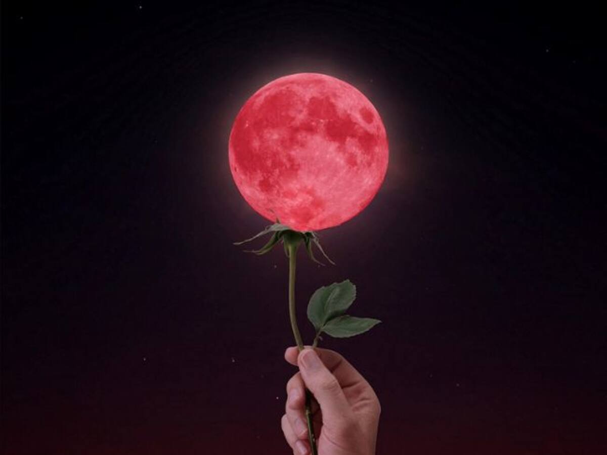 Prepárese: La única Luna de Flores 2025 se verá en Colombia, ¿qué significa, origen y cuándo es?