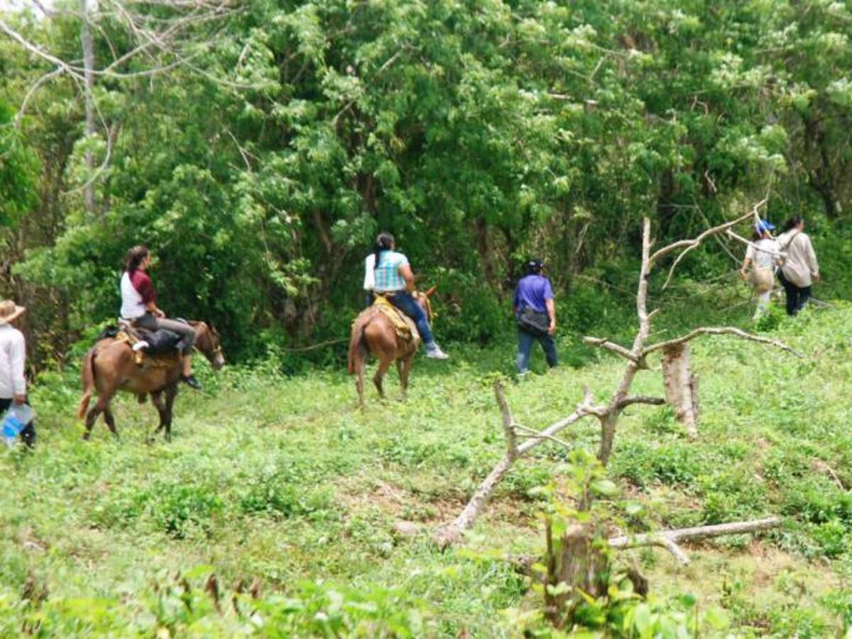 Unidad de Vícitimas no esta entregando carta cheques en los Montes de María
