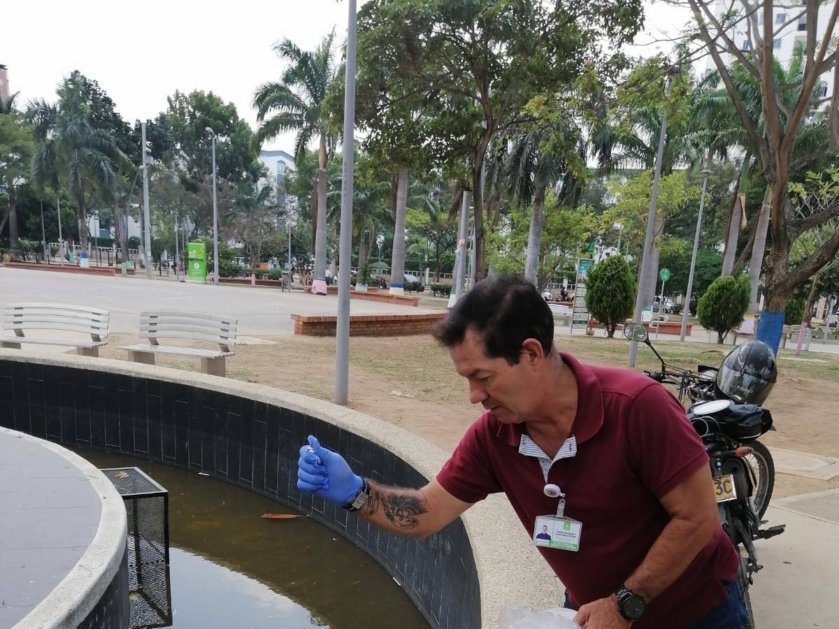 Alertan presencia de zancudos en abandonada fuente de Las Cigarras