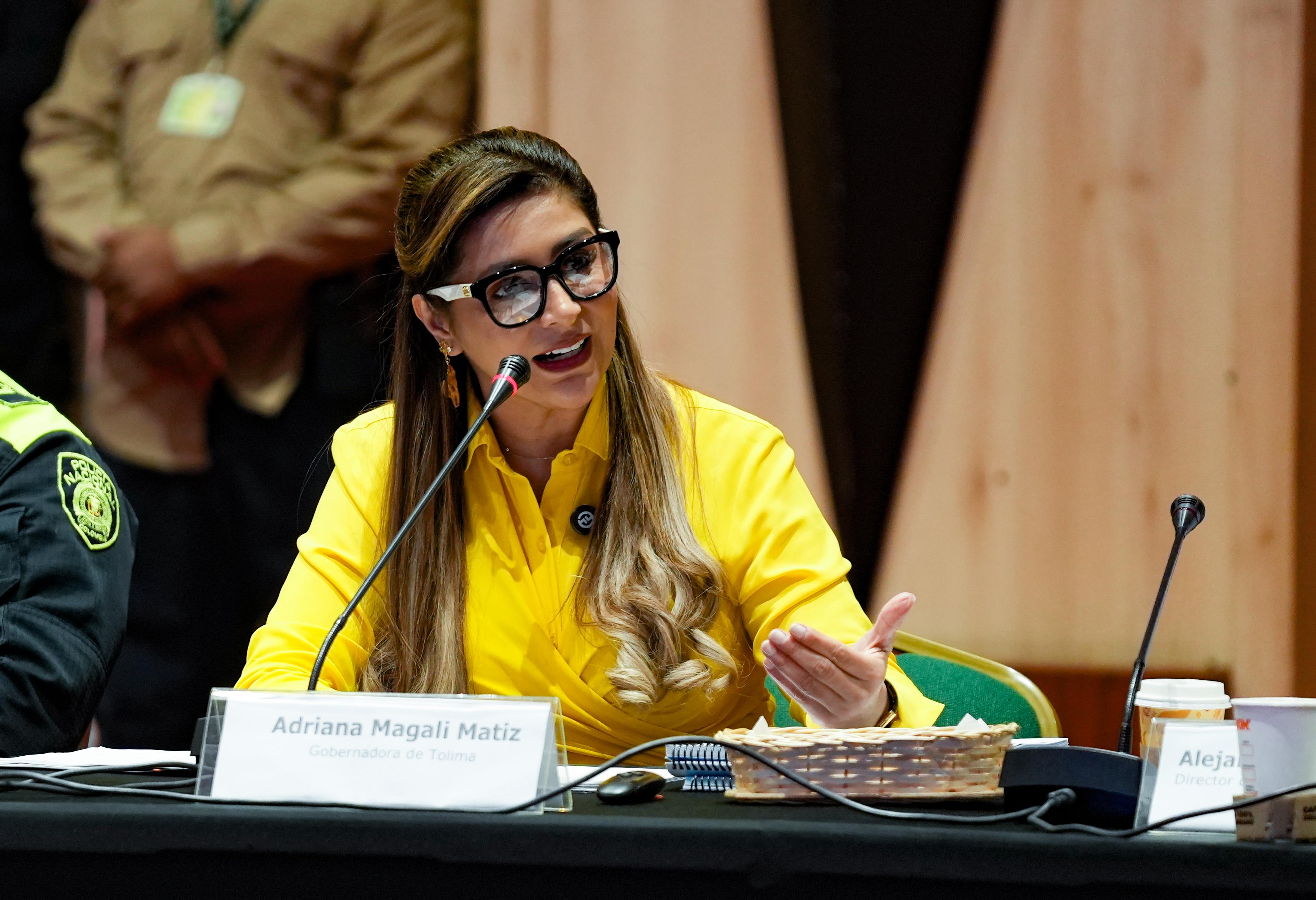 Adriana Matiz durante su intervención en el Desafío de la Seguridad 2025