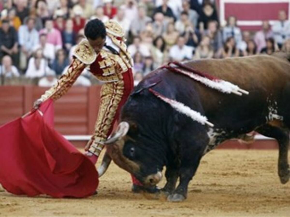 El torero colombiano Luis Bolívar sufrió grave cornada en España