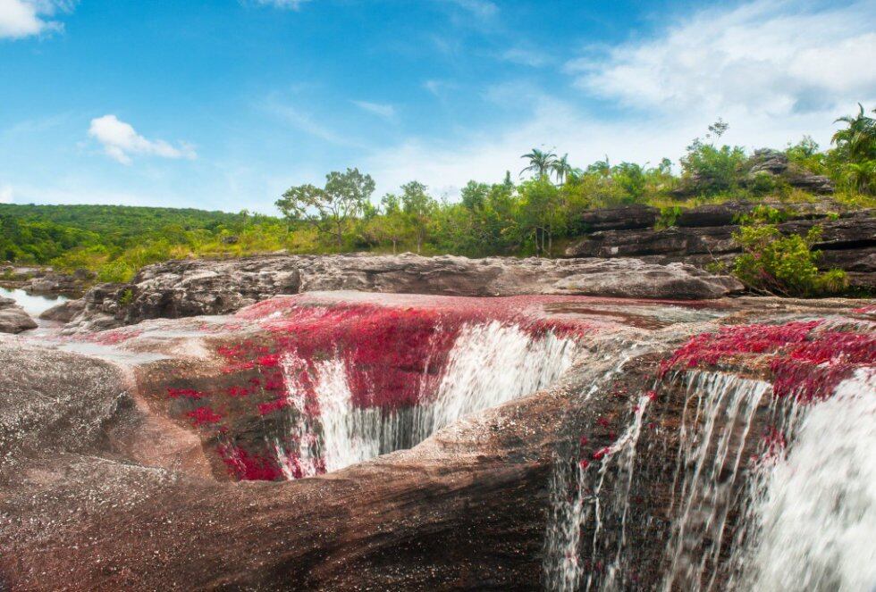 El agua del río Caño Cristales corre por su lecho rocoso, formado por la acción de miles de años y que hoy es posible disfrutar visualmente, para regocijo de la vista del hombre.