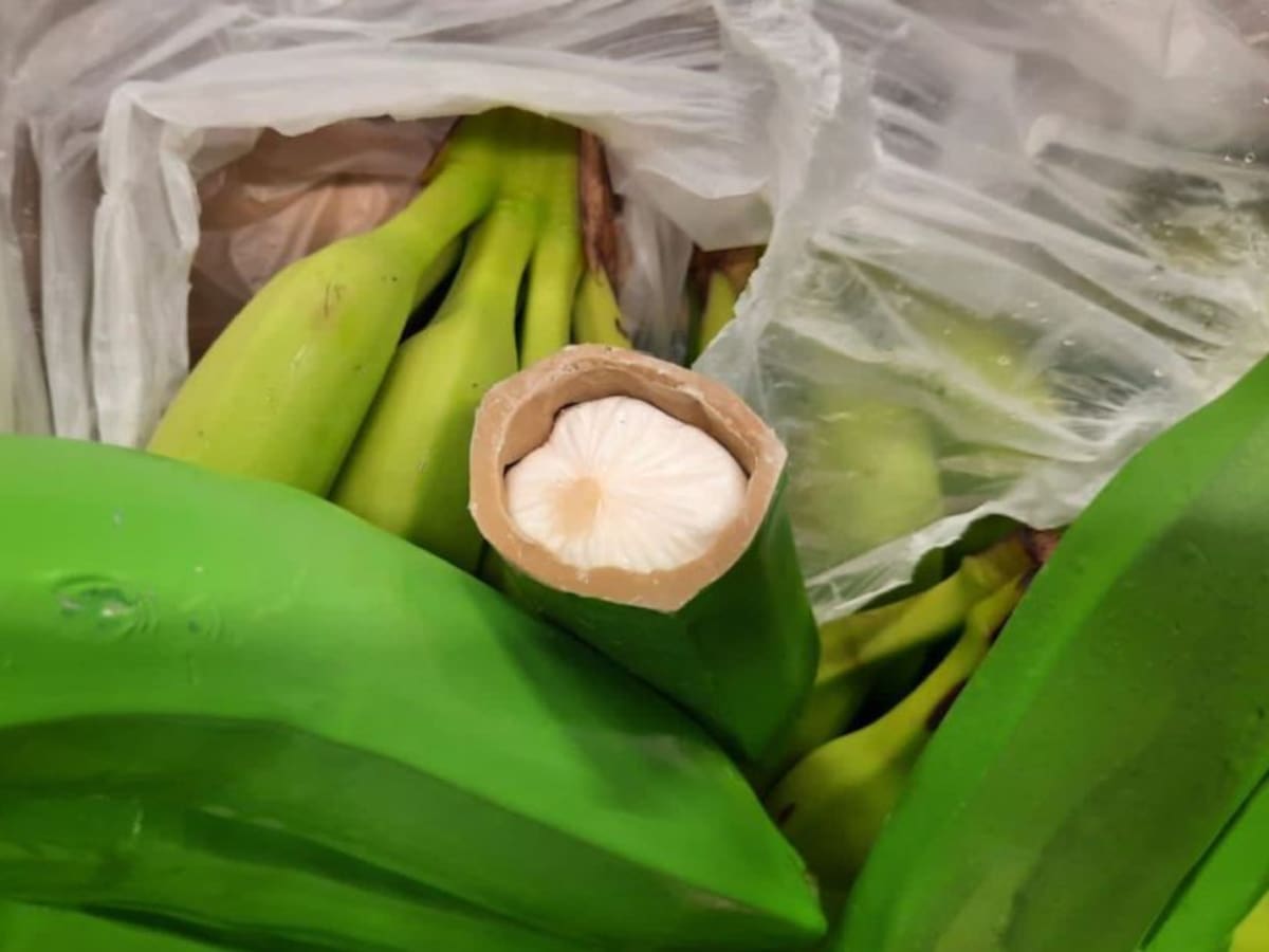 En falsos bananos de fribra hallan cocaína lista para enviar a Europa