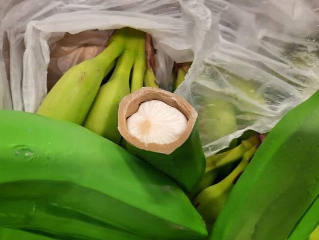 En falsos bananos en fibra se encontró clorhidrato de cocaína