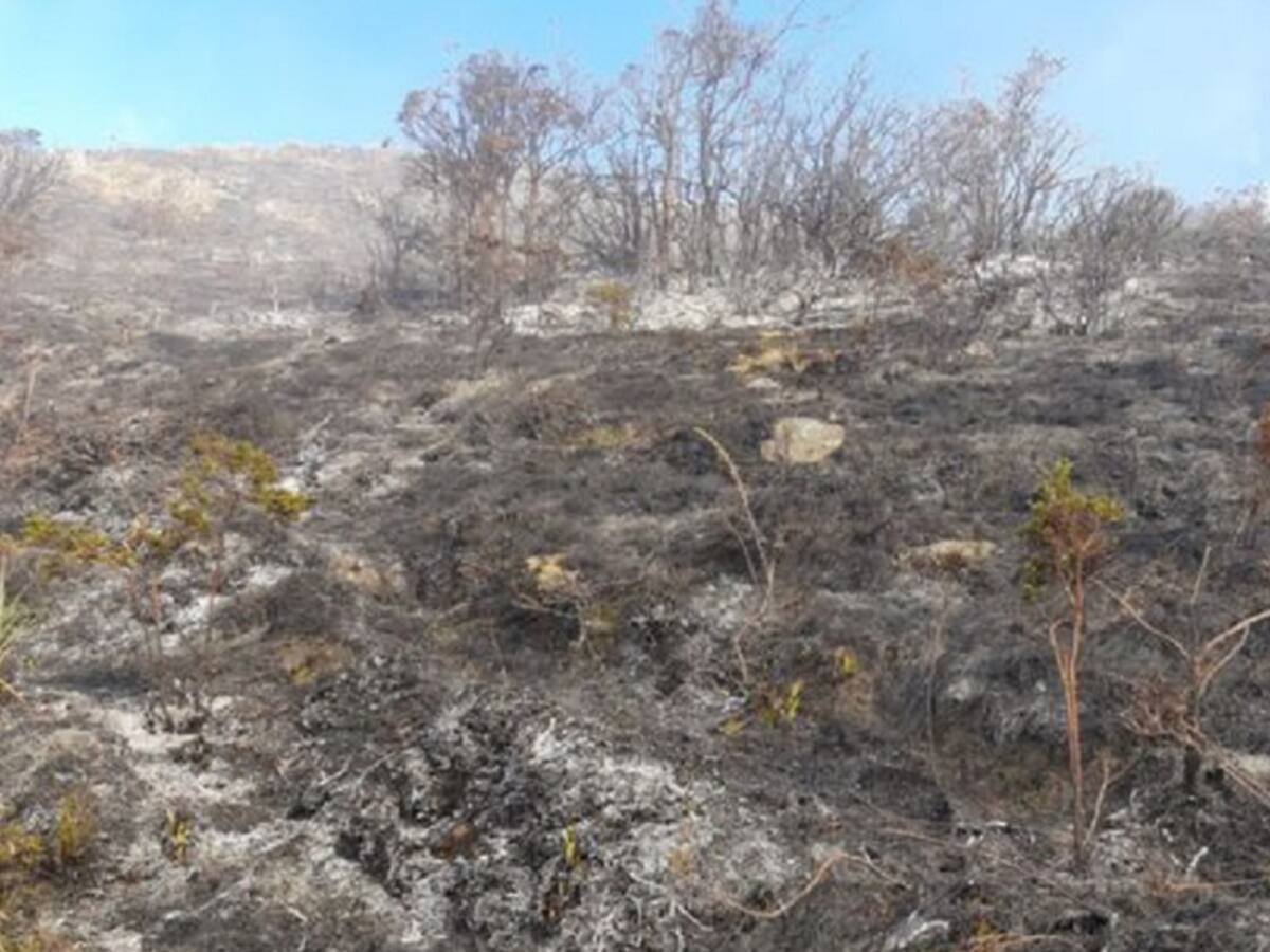 Autoridades evalúan impacto por incendio en Santurbán