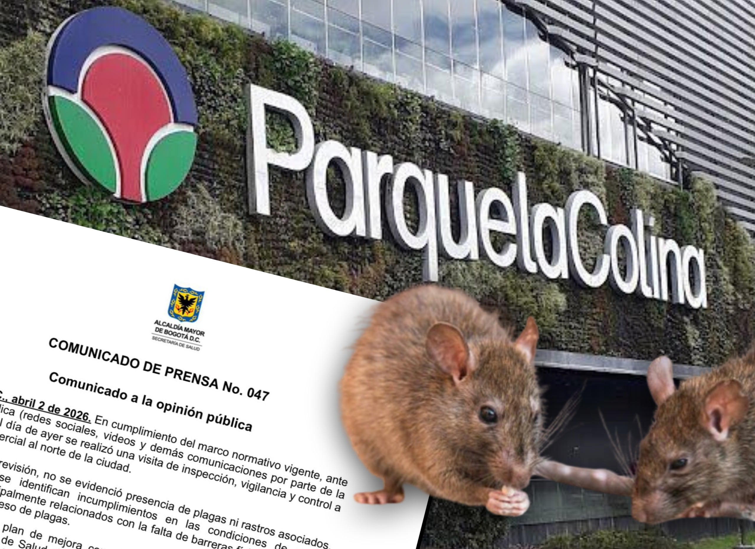 ¿Ratas en el centro comercial Parque La Colina?: Alcaldía de Bogotá responde. 
(Foto: cortesía Caracol Radio) 