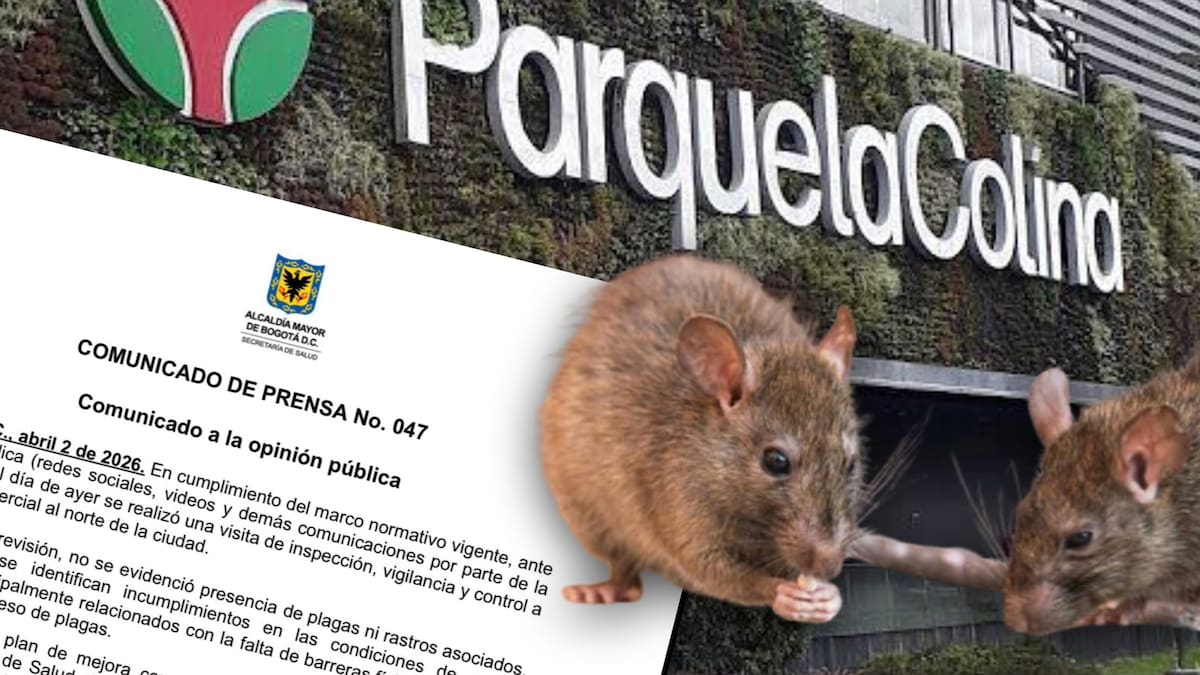 ¿Ratas en el centro comercial Parque La Colina? Alcaldía de Bogotá responde