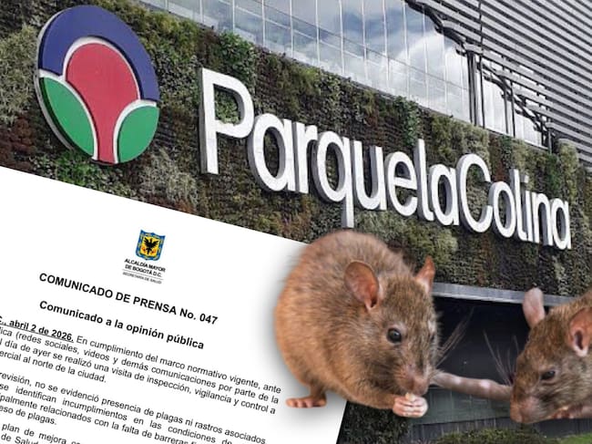 ¿Ratas en el centro comercial Parque La Colina?: Alcaldía de Bogotá responde.
(Foto: cortesía Caracol Radio)