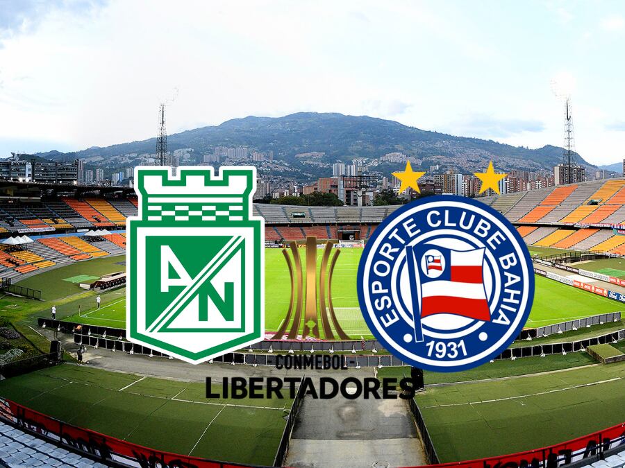 Tomada de CONMEBOL Libertadores oficial.