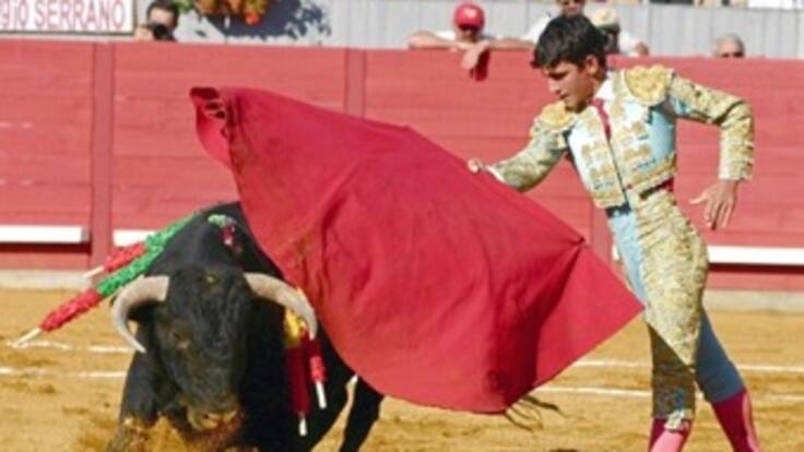 Corte Constitucional dio vía libre a espectáculos con animales, análisis en Planeta Caracol