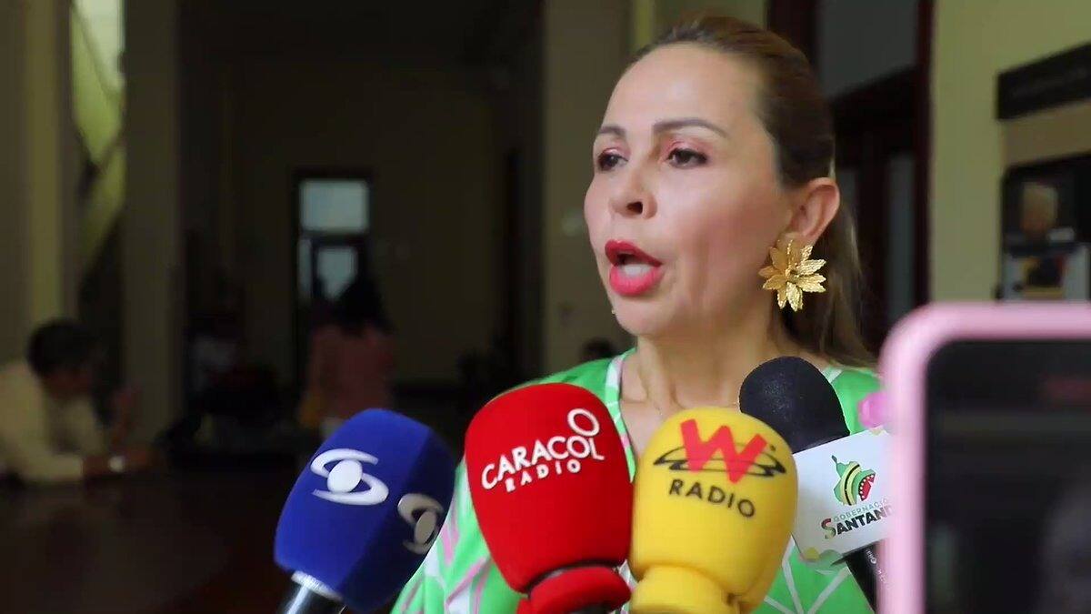 Hoy radican moción de censura contra la secretaria de cultura de Santander