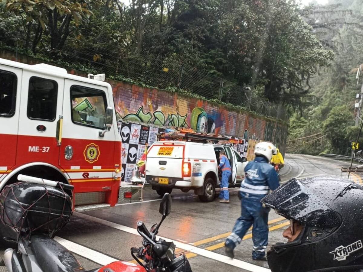 Por caída de un árbol hay cierre total en la vía La Calera