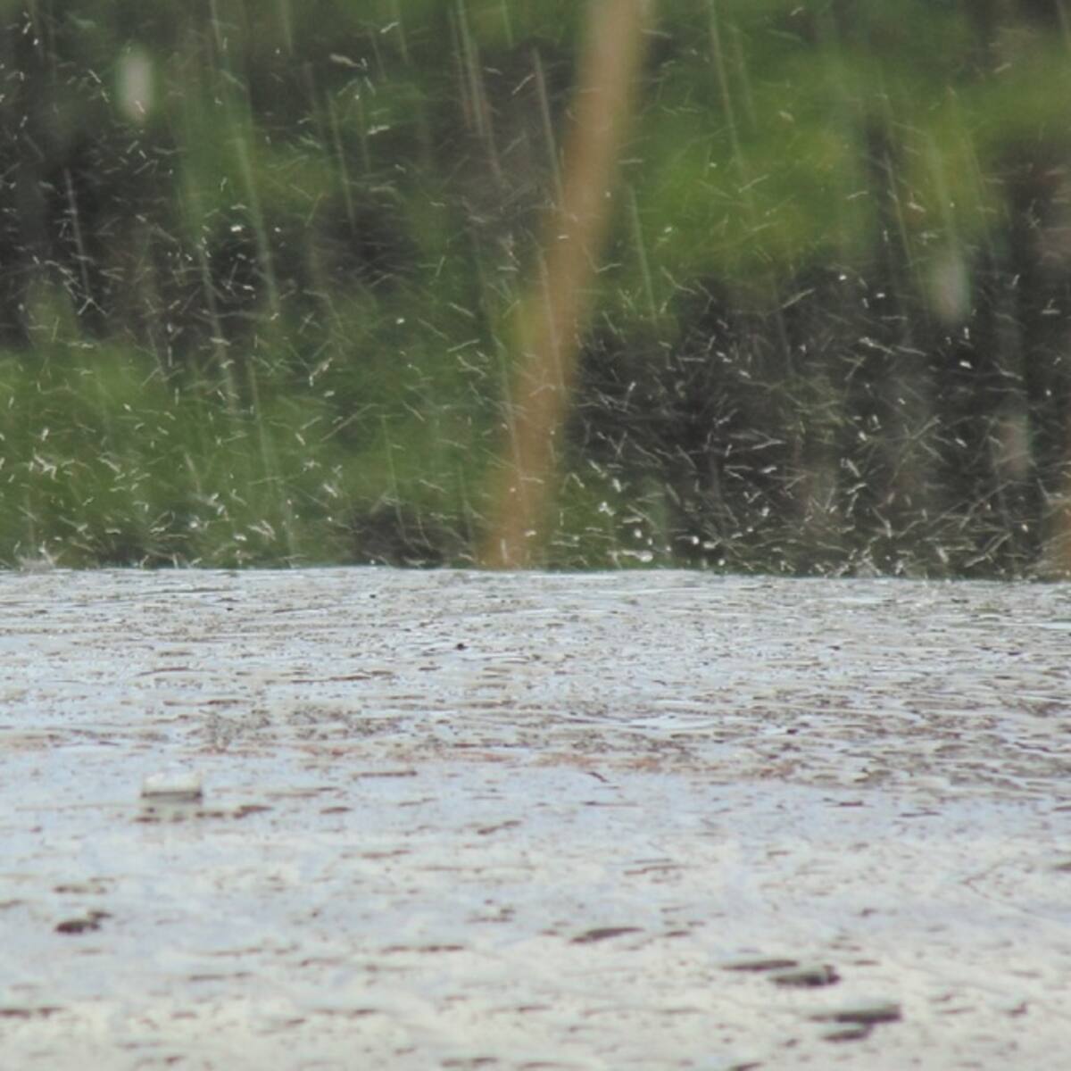 ¡Qué tal!: un colegio nuevo de Cubará en Boyacá, se inunda cada que llueve