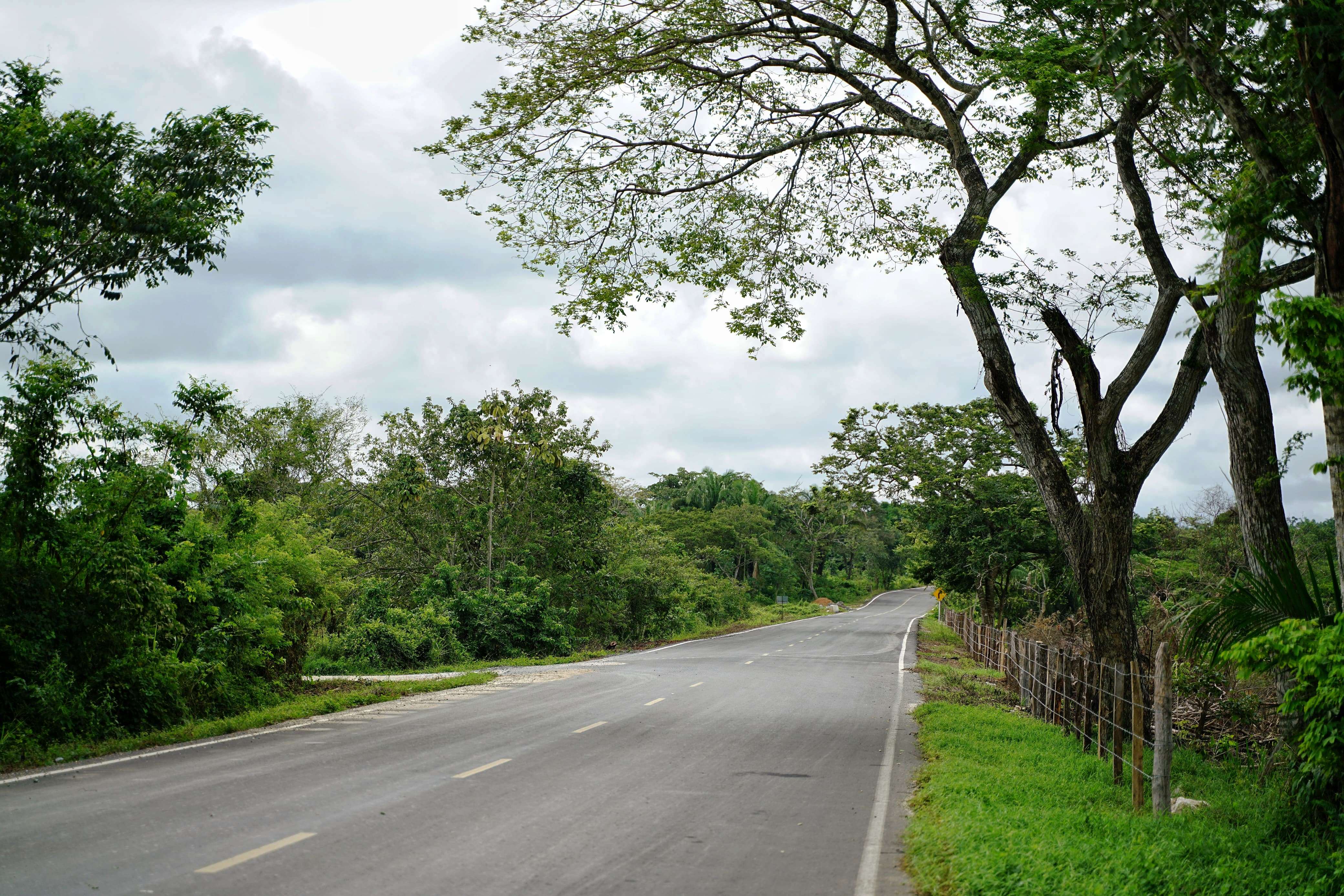 Gobernador de Bolívar