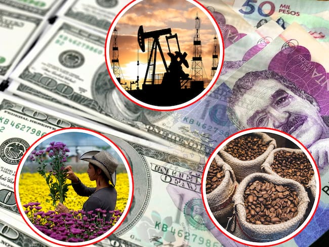 La amenaza arancelaria, que comienza a regir el 1 de agosto si no se negocia un nuevo acuerdo comercial, perjudica a todos los productos que Colombia exporta a Estados Unidos pero golpea principalmente al sector minero-energético, cafetero y floricultor.
(Foto: Caracol Radio / Getty)