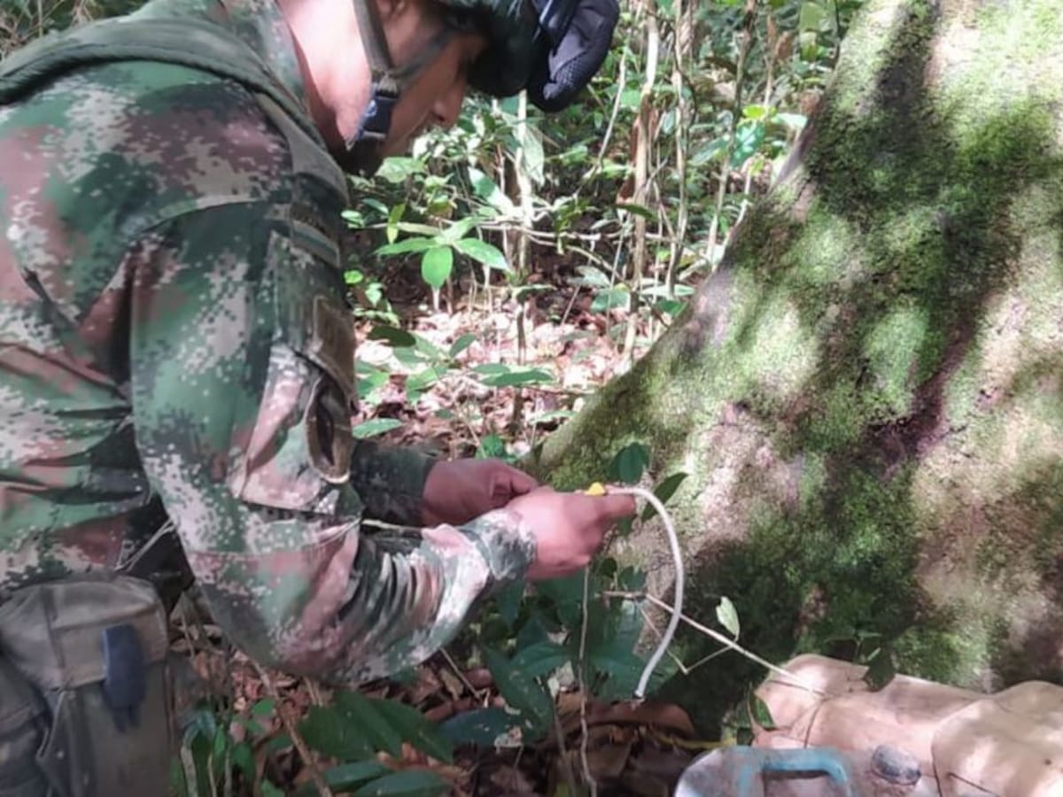 Explosivos de disidencias pretendían frenar erradicación en Guaviare