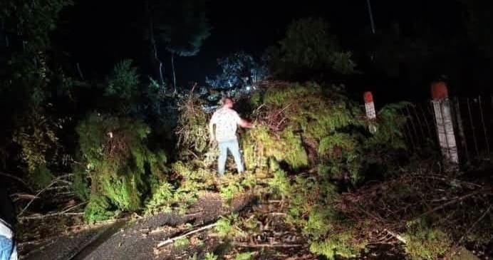 Derrumbe en la vía Manzanares - Petaqueros. Foto suministrada.