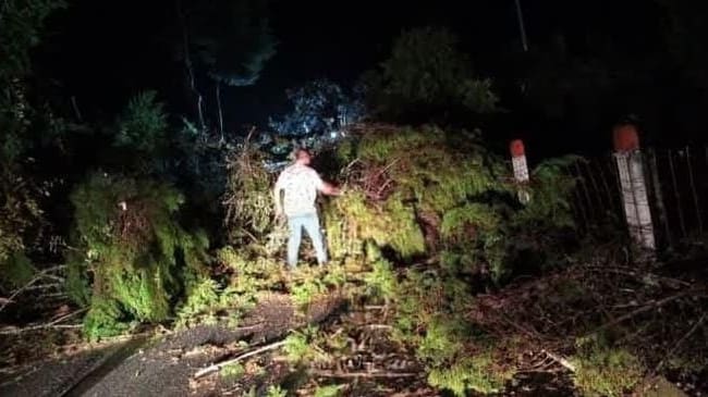 Derrumbe en la vía Manzanares - Petaqueros. Foto suministrada.
