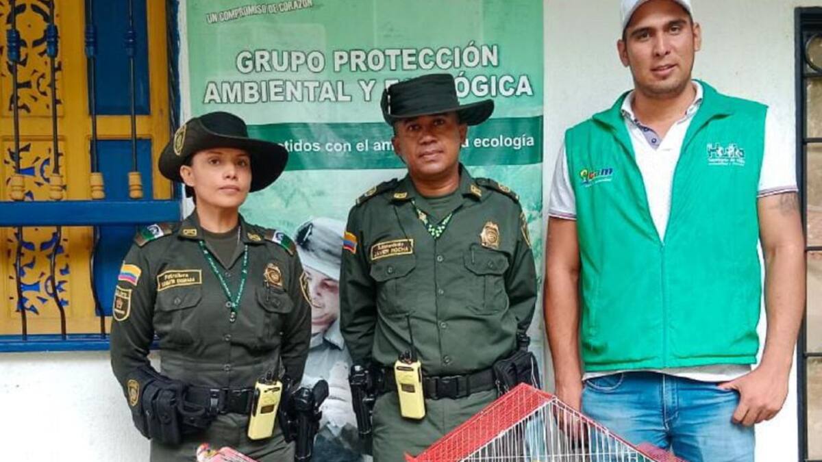 Autoridades en Neiva impiden la comercialización de especies silvestres
