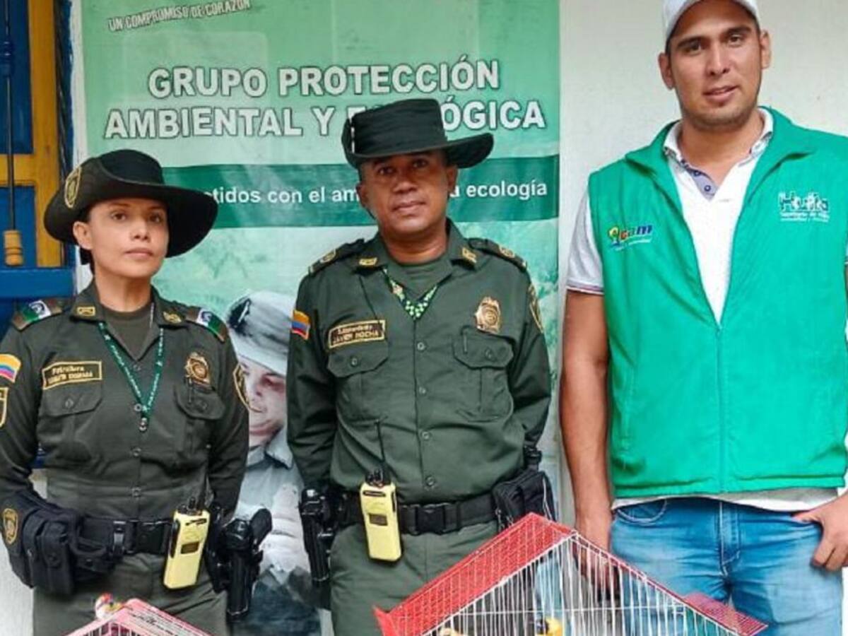 Autoridades en Neiva impiden la comercialización de especies silvestres