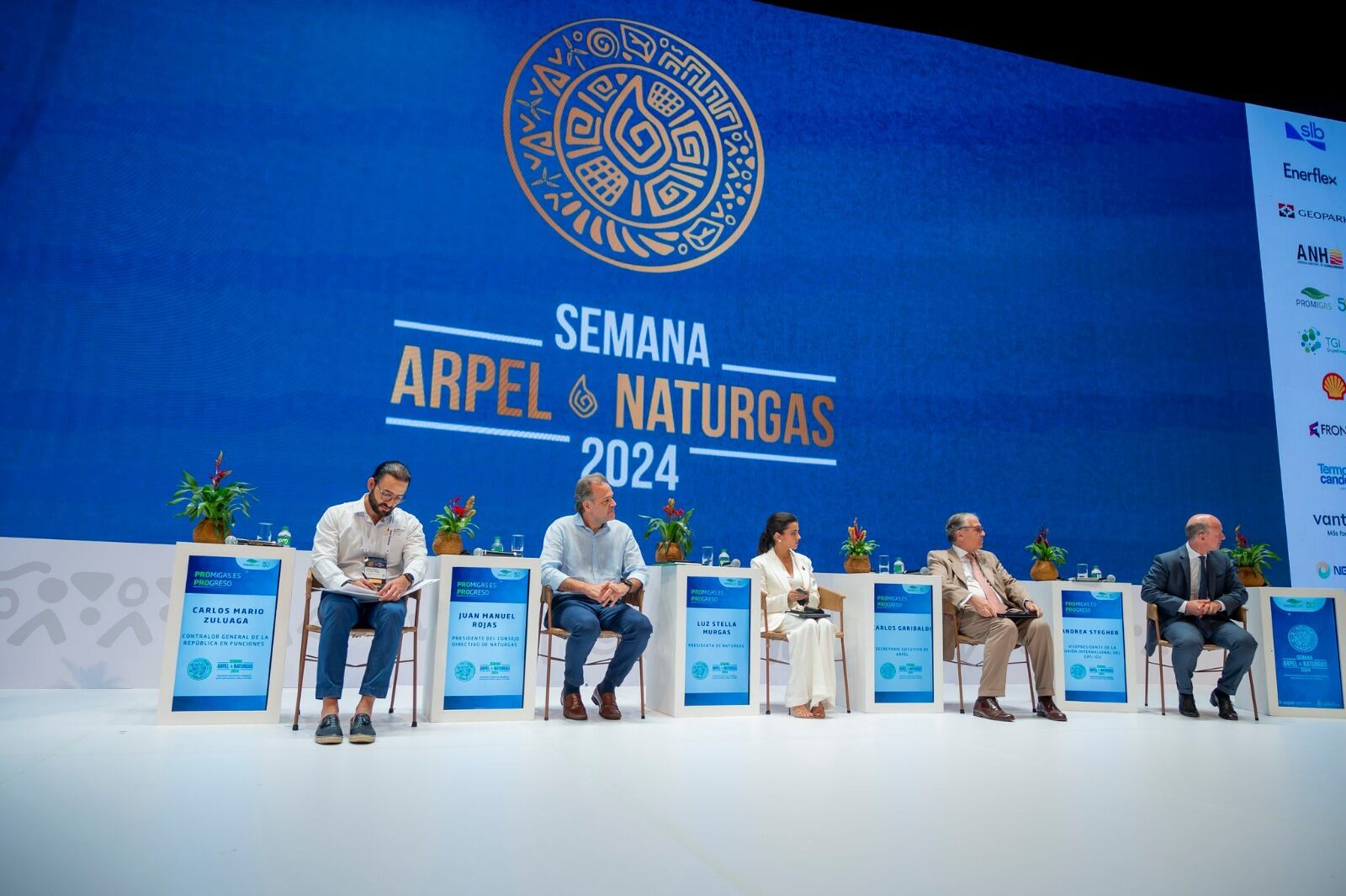 Contralor hizo nuevo llamado al Gobierno para designar comisionados de la CREG