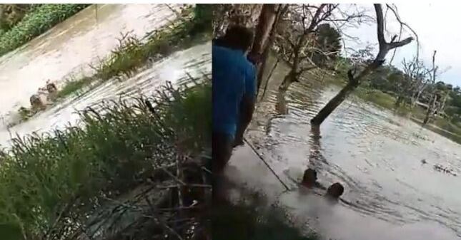 Dos estudiantes menores de edad se salvaron de morir ahogados en el caño Rabón en la Mojana