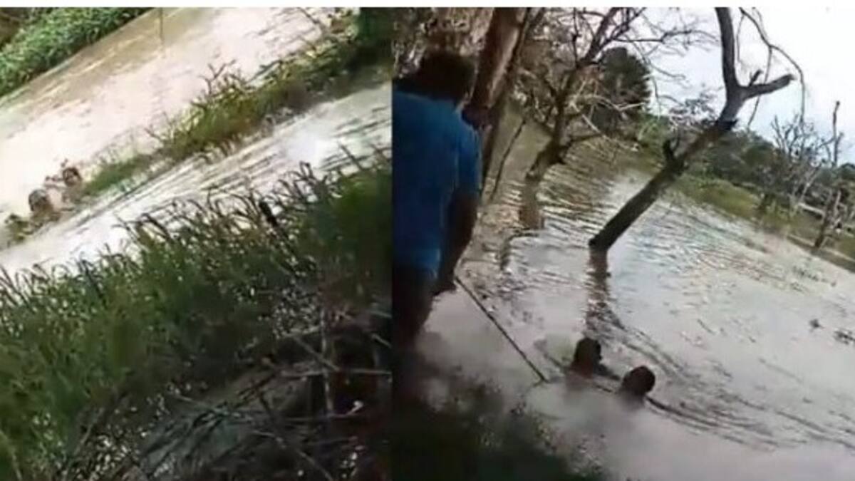 Dos menores de edad se salvaron de morir ahogados en caño Rabón en la Mojana
