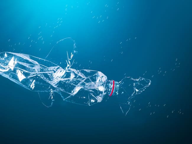 Películas y documentales para conmemorar el Día Mundial del Medio Ambiente