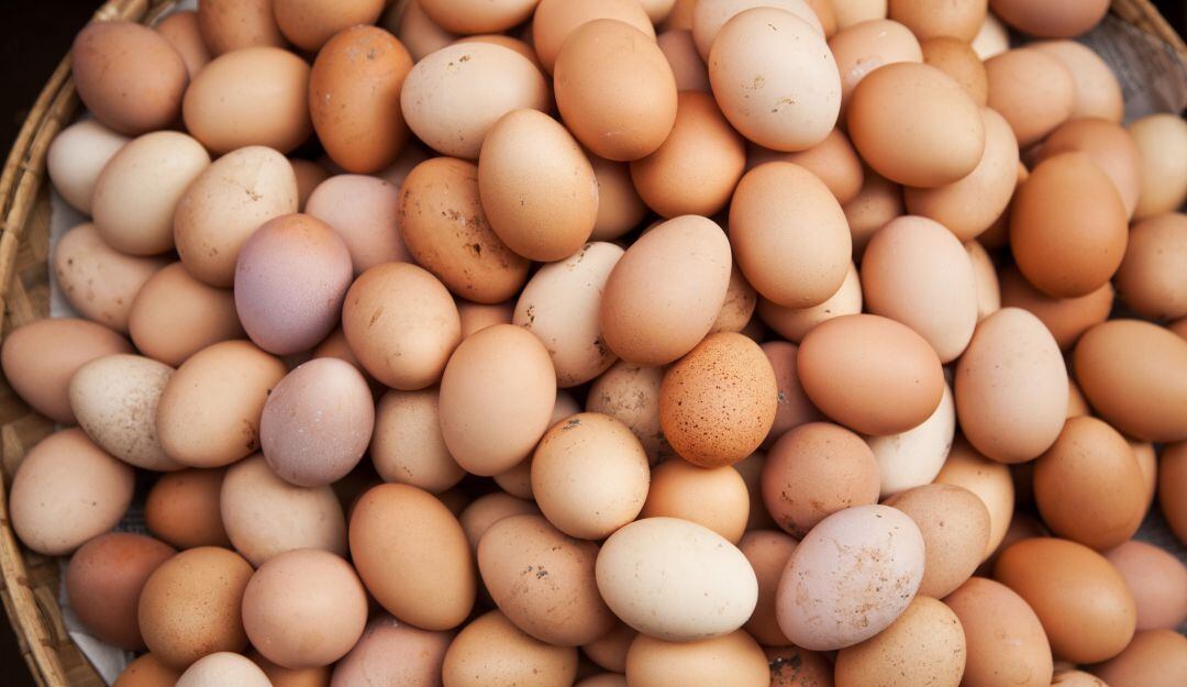 Producción de huevos