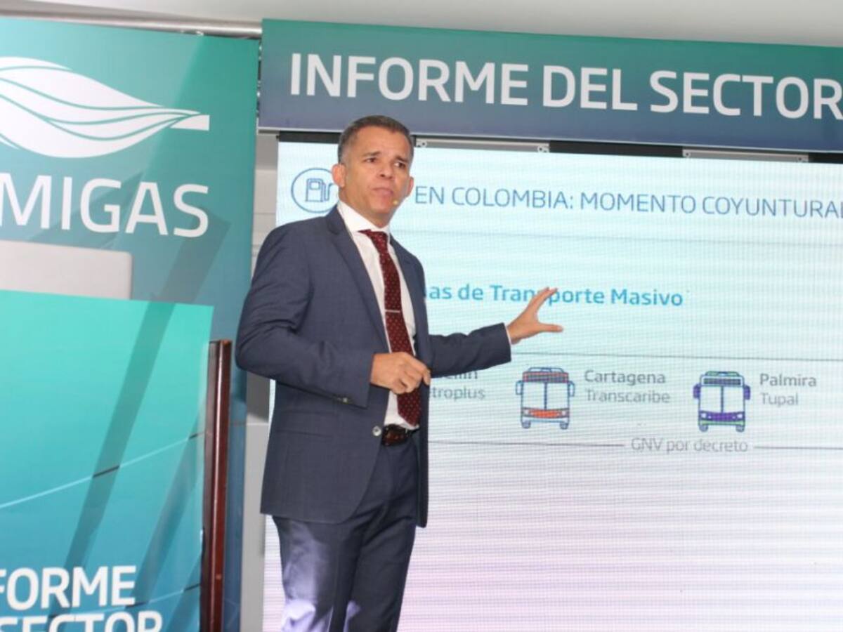 Informe sobre la cadena de gas natural en el país