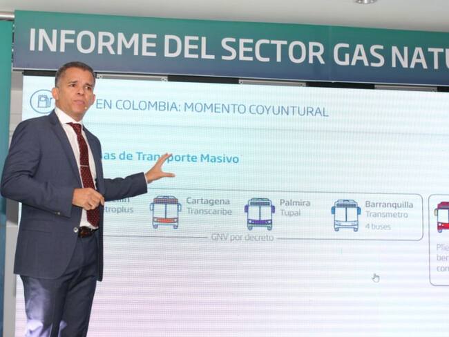 Informe sobre la cadena de gas natural en el país