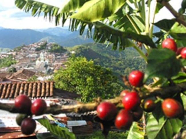 El lunes no se venderá café colombiano en el mundo dicen productores