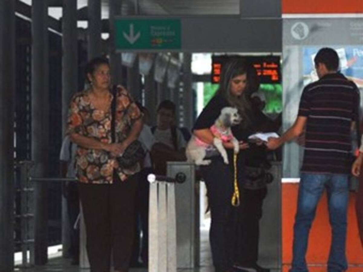 Empresas deben reglamentar presencia de mascotas en transporte público: Corte Constitucional