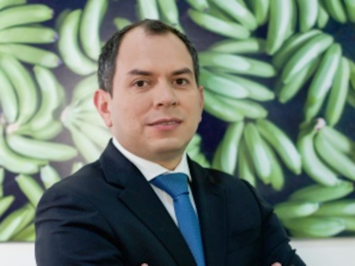 El gremio bananero de Colombia pide respeto por la democracia y la institucionalidad