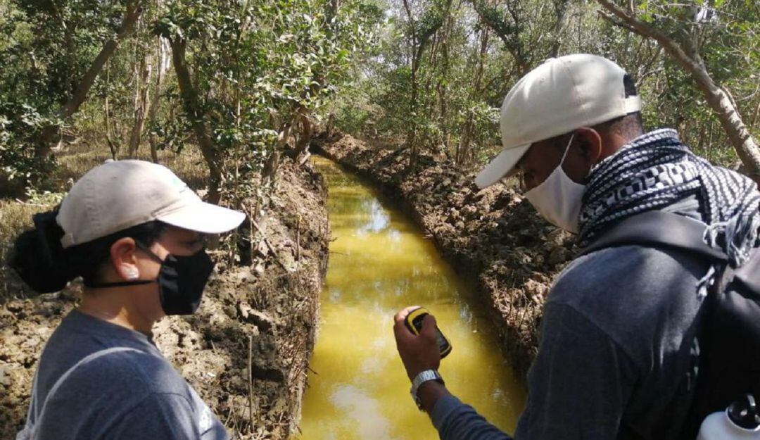 Restauración ecológica en la Ciénaga de La Virgen