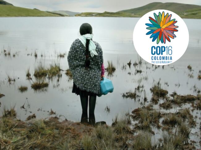 El cine colombiano hace presencia en la COP16