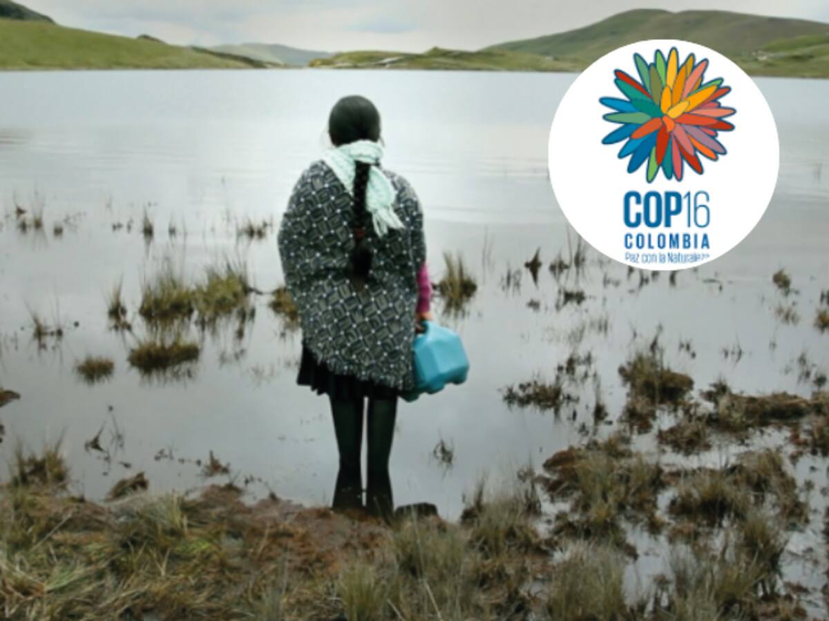 El cine colombiano hace presencia en la COP16