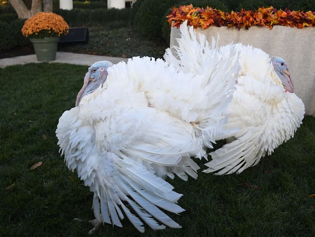EE.UU. celebra la festividad de Acción de Gracias más costosa en años