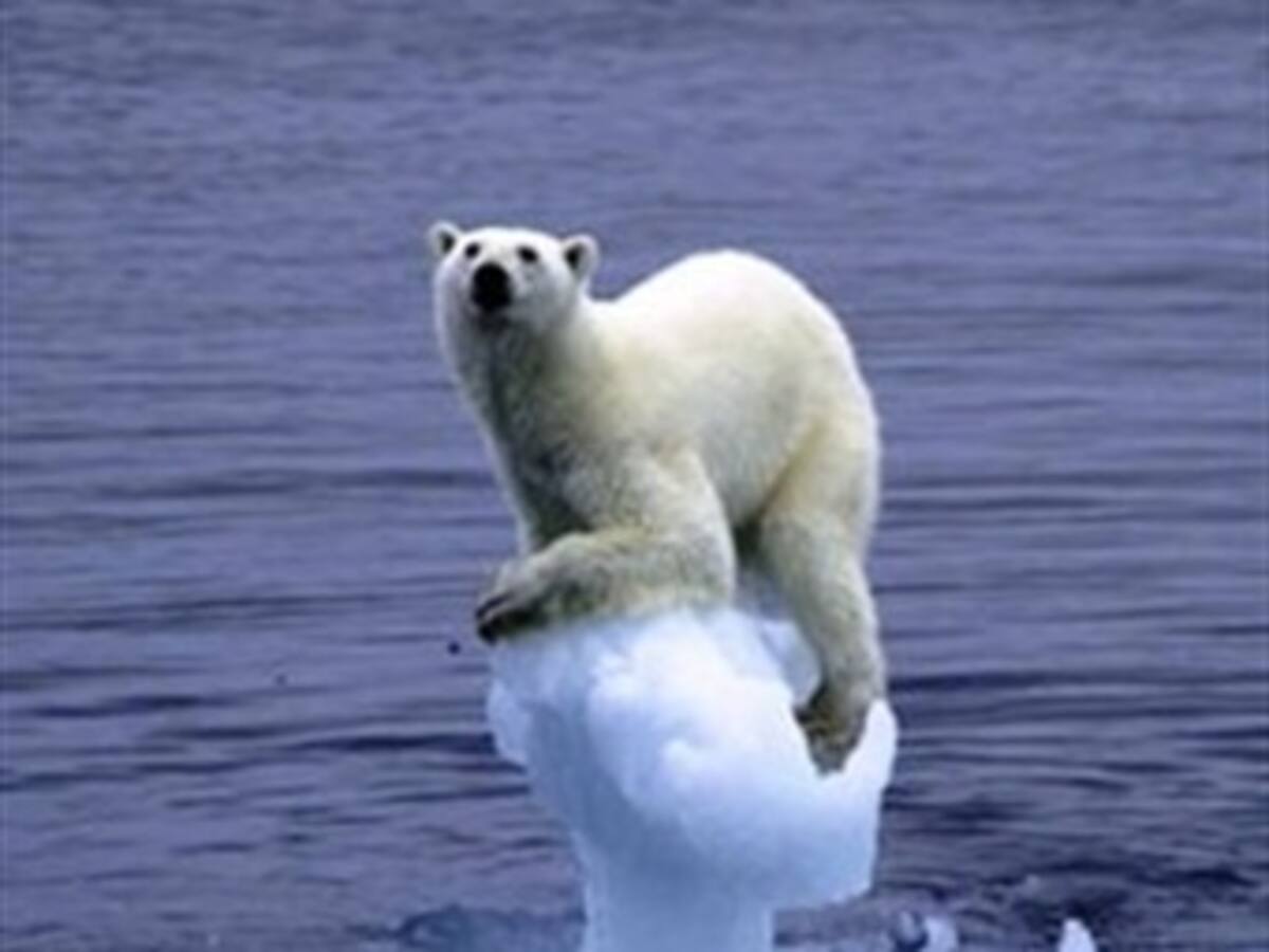 El cambio climático es la mayor amenaza para la salud mundial en el siglo XXI