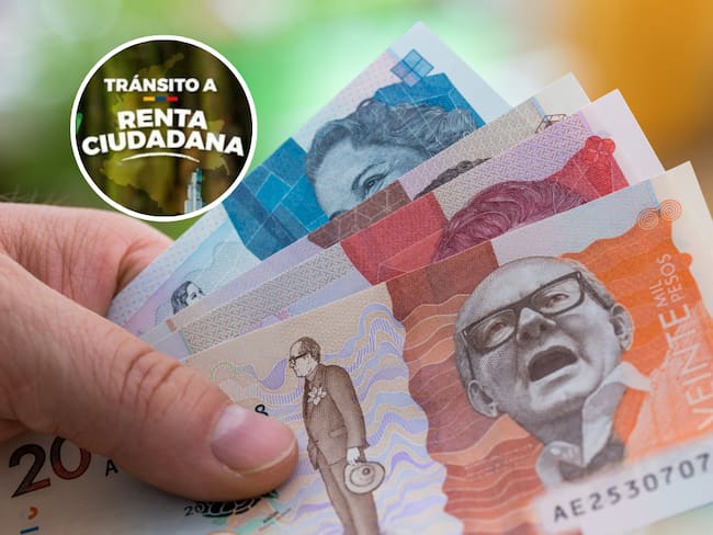 Persona con billetes colombianos en la mano y de fondo el logo de Tránsito a Renta Ciudadano (Fotos vía Getty Images