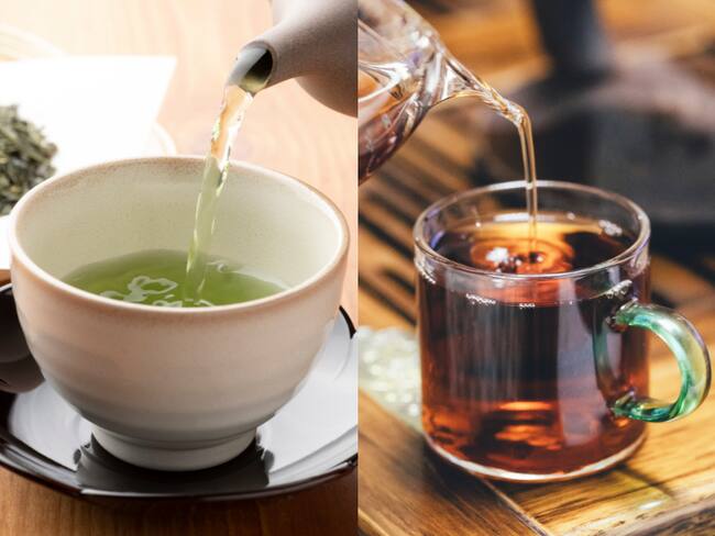 Comparación entre el té verde y el té negro (Fotos vía Getty Images)