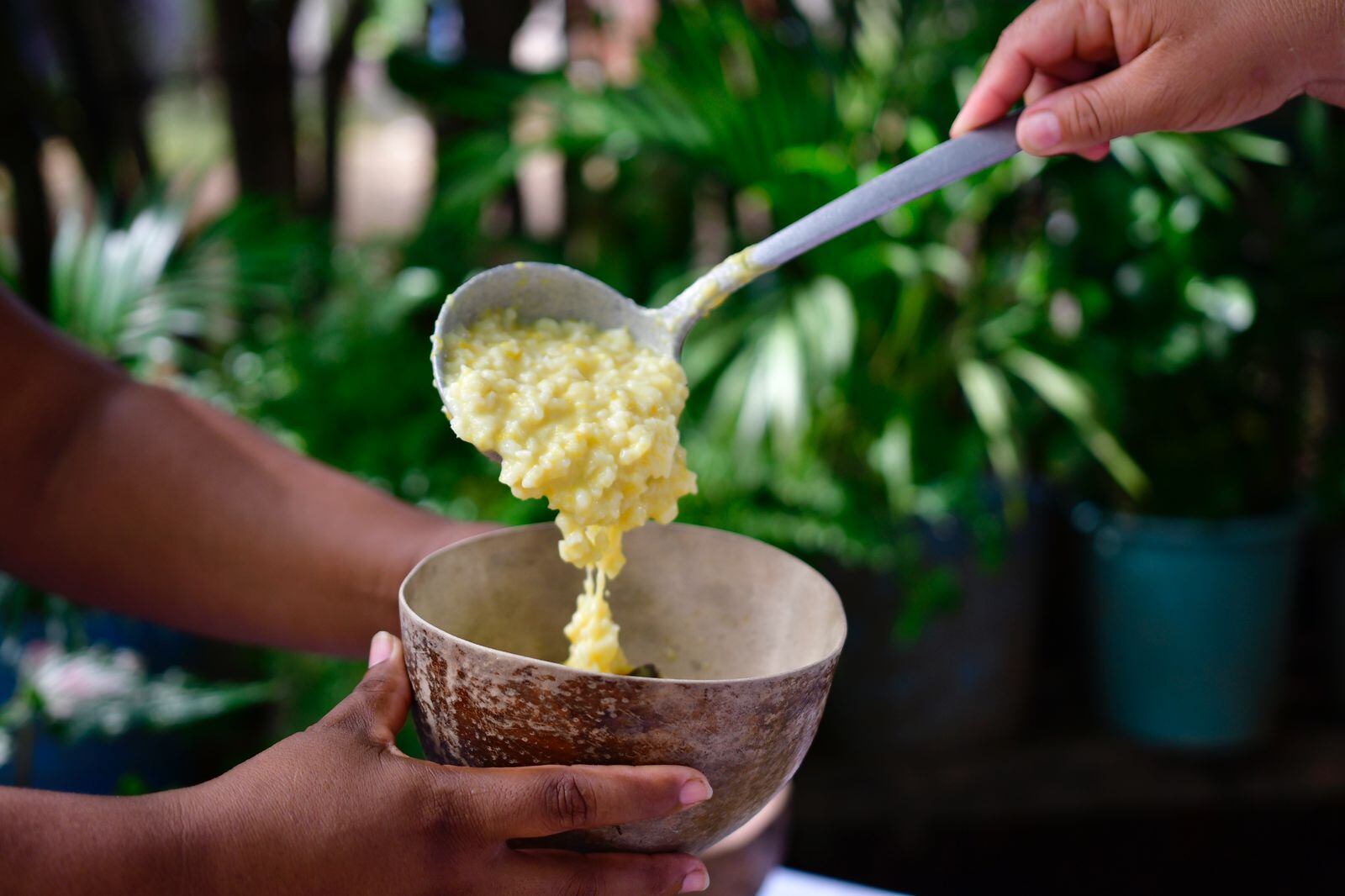 Festival de la mazamorra./ Foto: Secretaría de Cultura del Atlántico