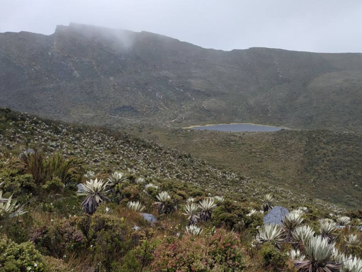 Chingaza, serranía del dios de la noche que le da agua a Bogotá