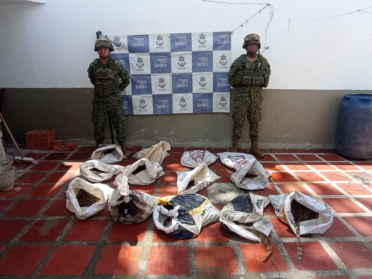 Recuperan 105 babillas que serían comercializadas en el Cesar