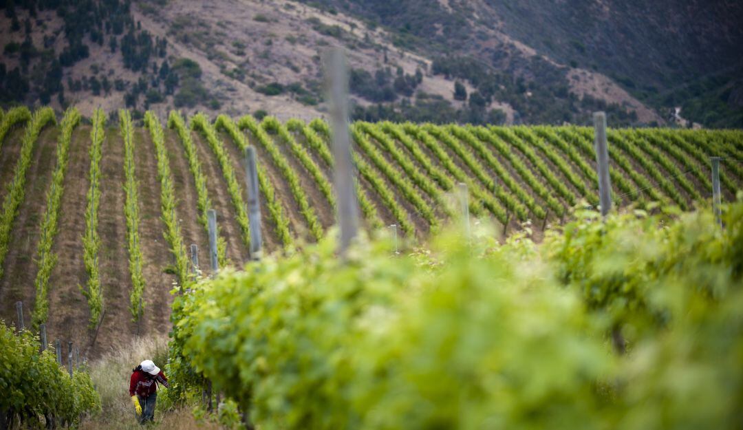 Recolección. Inversión de Chile en Colombia