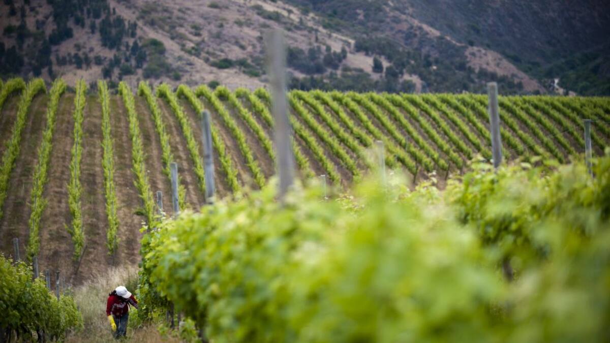 Soluciones tecnológicas ofrece Chile al agro colombiano