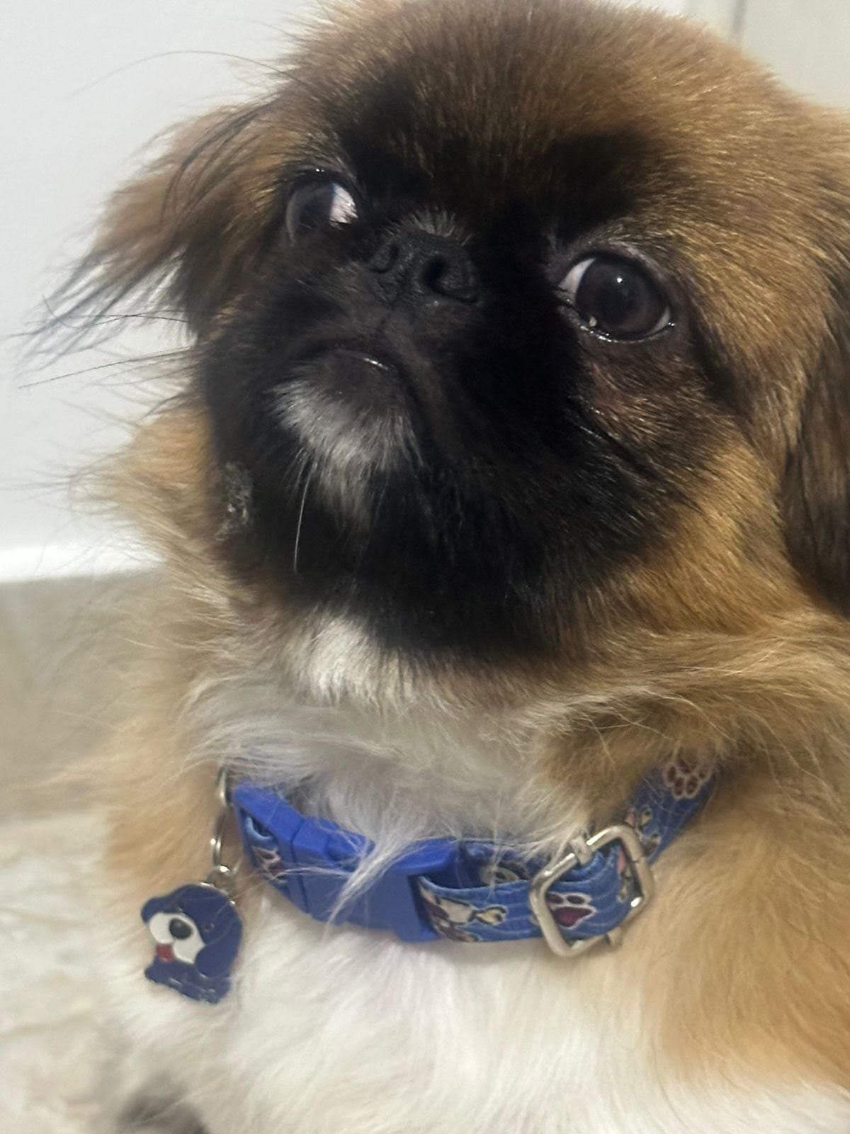 Maxi, de un año y medio, falleció ahogado en un trayecto que cubría la ruta Maico  y Medellín. Foto: Cortesía.